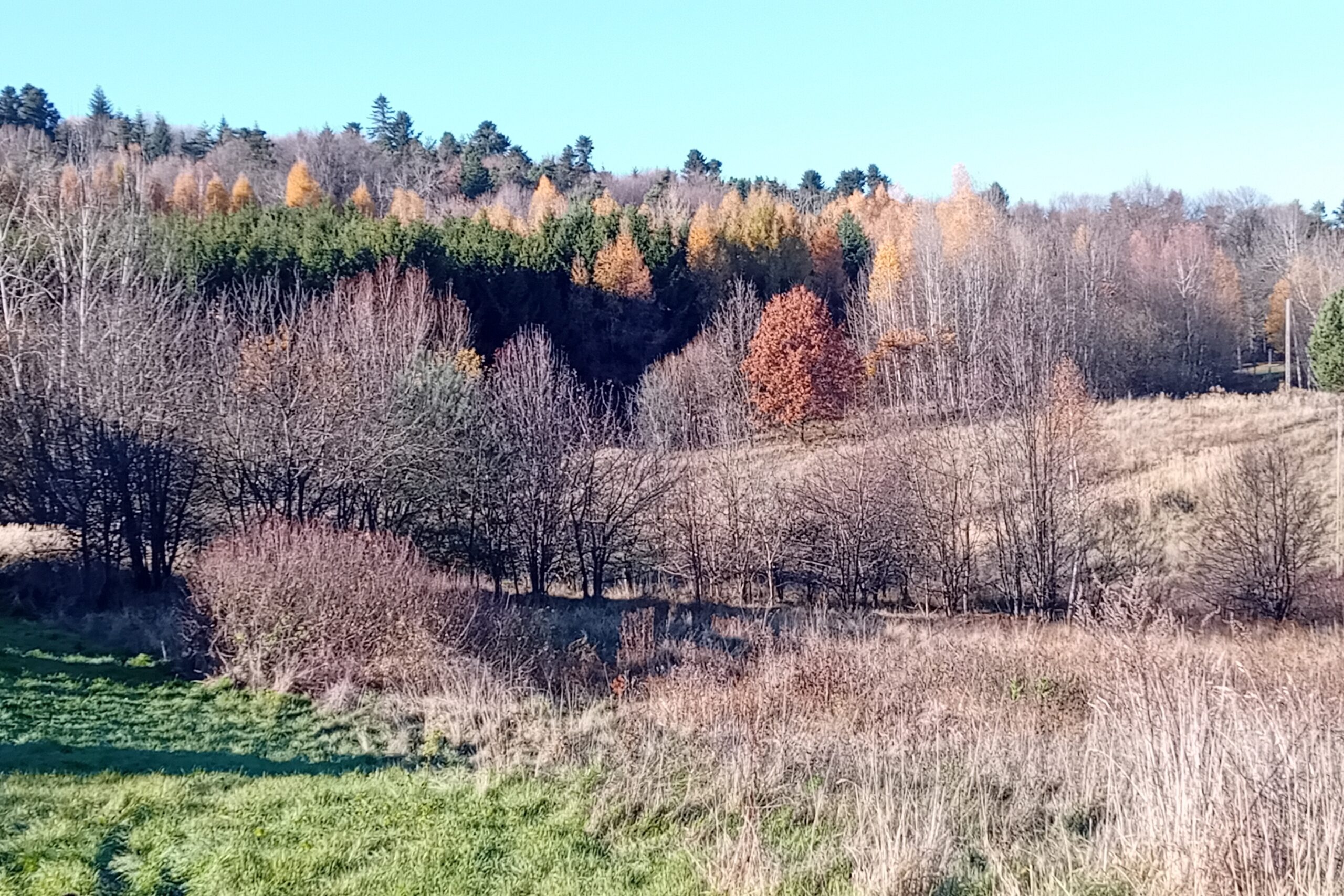 fot. własna ŚWI (20251107_125556) kadr